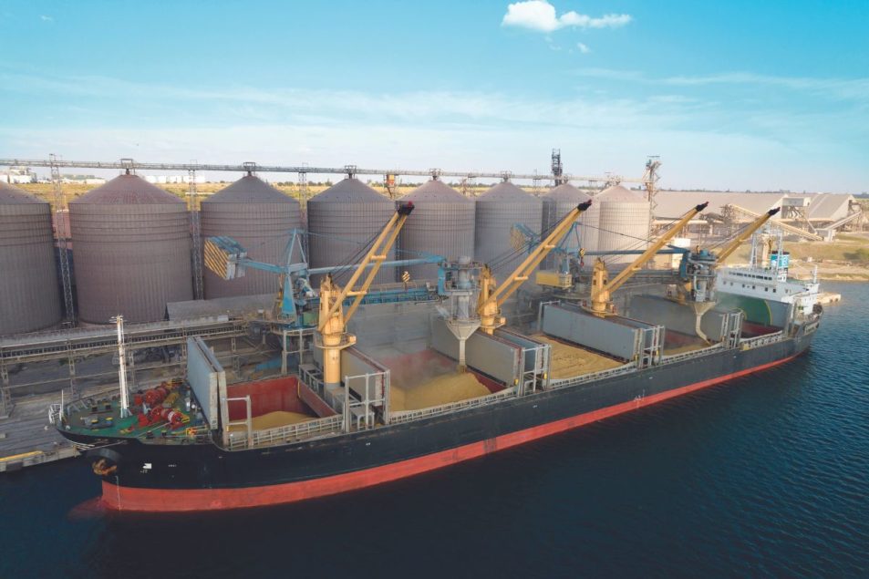 Dry Bulk Grains